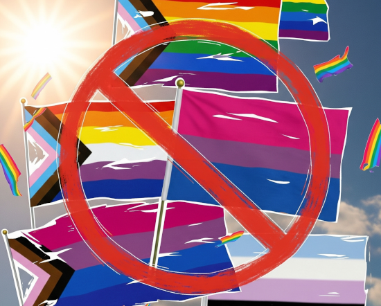 Ein stilisiertes Bild mit diversen Pride Flaggen, die hinter einem Verbotszeichen zu sehen sind.